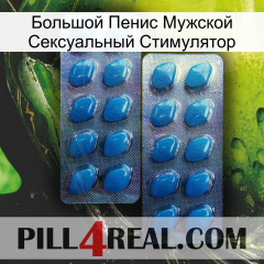 Большой Пенис Мужской Сексуальный Стимулятор viagra2